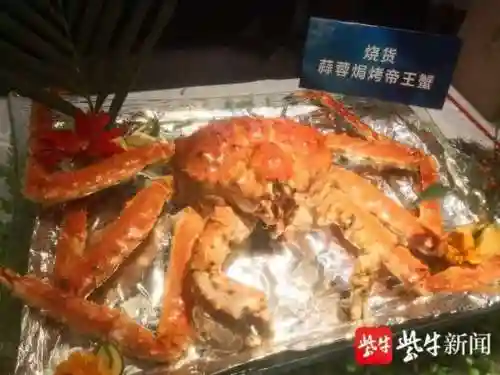 蟹王争霸怎么搭配阵容(海洋王国最强阵容搭配)插图1
