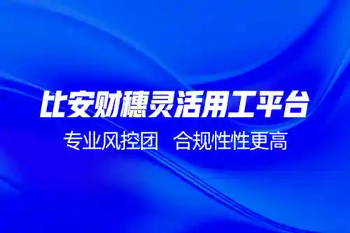 灵活用工平台(灵活用工平台被税务重点检查)