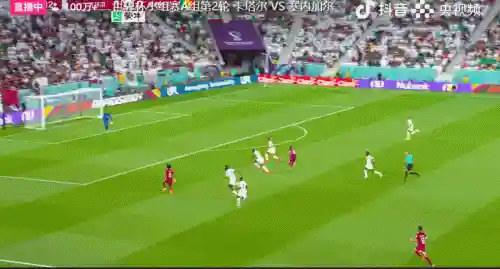 塔卡尔塞内加尔(比卡内尔)插图2