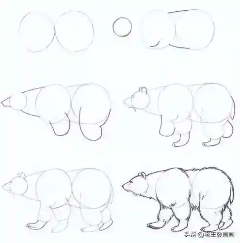 画100个呆萌可爱小动物(画小动物简单又可爱)插图2