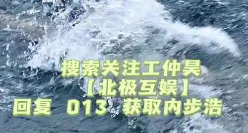 武道轮回阵容搭配推荐(武道大会最佳进攻阵容)