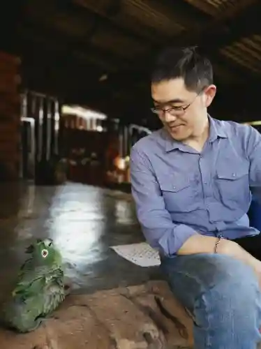 妖怪屋面灵气阵容怎么搭配(阴阳师妖怪屋阵容搭配)