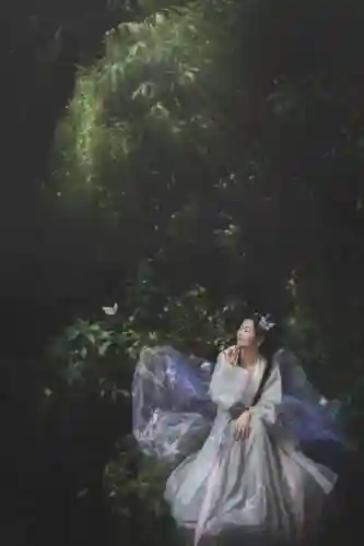 阴阳师野猪阵容搭配(阴阳师平民最佳阵容)