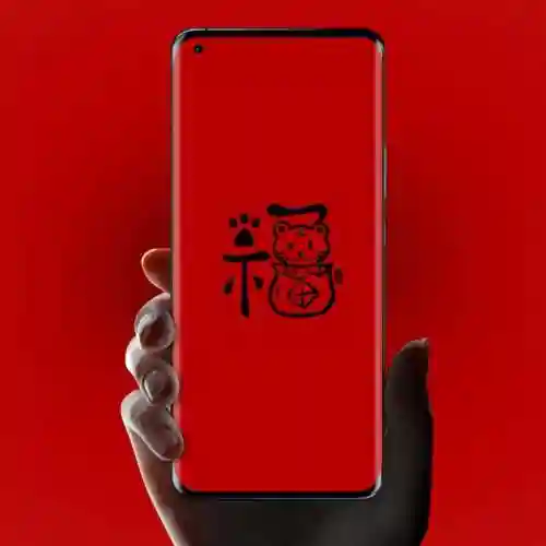 5种福字图片大全图片(不同的福字图片)插图12