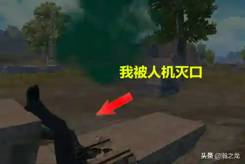 刺激战场小树林(刺激战场下载)插图4