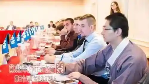 骑士盔甲挑战阵容搭配(骑士头盔)插图4