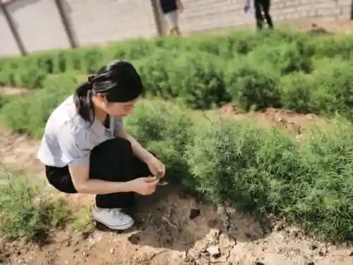 战双曲启明阵容搭配(战双平民最佳阵容)插图4