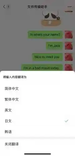 中文转换成韩文(中韩互译翻译器)插图4