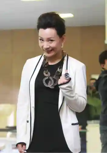 白老板阵容搭配图高清(暖雪冰2白灰顶级搭配)插图1