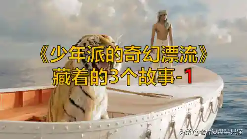 少年派的奇幻漂流(少年派隐喻深度解析)插图4