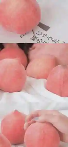 水蜜桃图片大全唯美壁纸(桃子壁纸软件下载)插图26