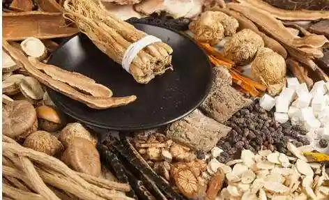 槲寄生怎么读(槲寄生下接吻的寓意)