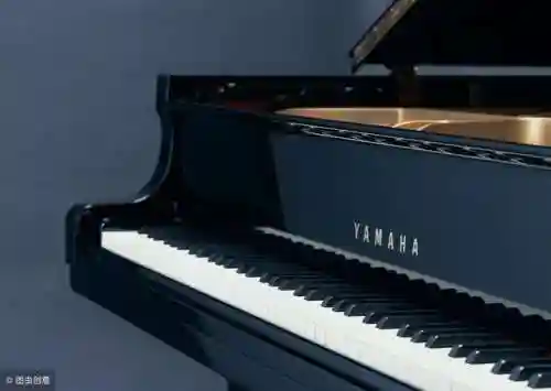 初学钢琴零基础入门教程(钢琴入门简单曲子)