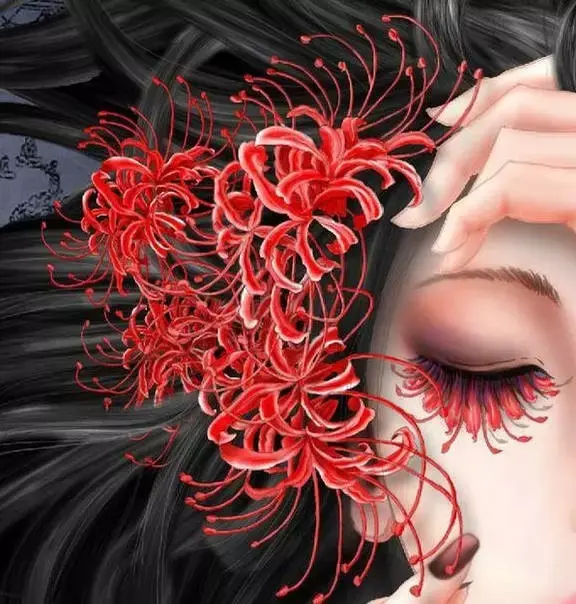 彼岸花图片真实照片(女孩子纹彼岸花代表什么)插图2