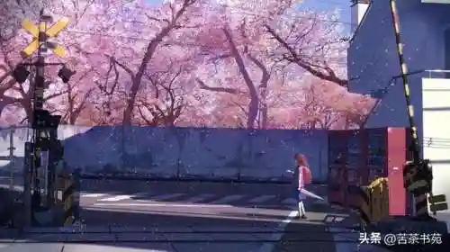 吸血姬的堕落(吸血姬的混沌 寻雾者)插图2
