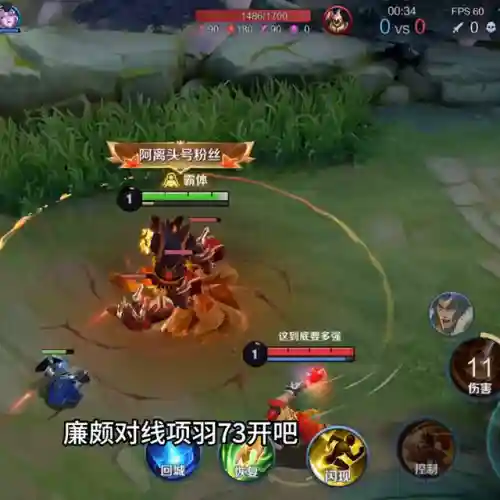 项羽打廉颇最强阵容搭配(廉颇伤害最高的出装)