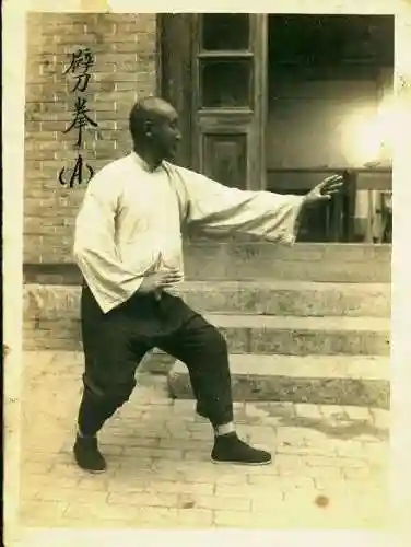 武林奇侠阵容搭配图片(我的侠客最强阵容)