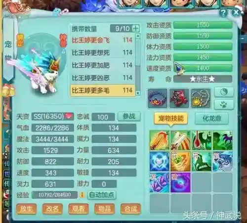 三神一仙阵容搭配(三排什么阵容最好)插图12