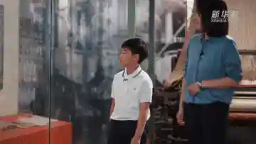 彼岸之声阵容配置搭配最新(星之彼岸怎么组合最强)插图3