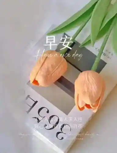 早安物语推荐阵容搭配图(心力物语最强阵容)插图26