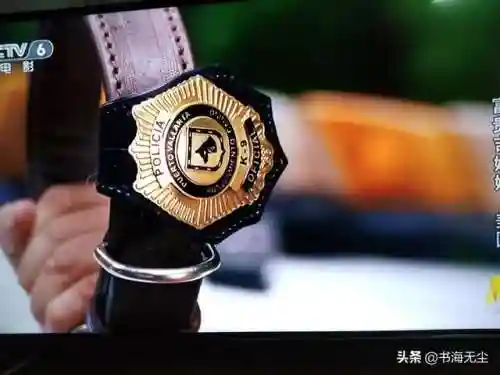 龙妈加狗子阵容搭配(云顶之弈奶妈主c阵容)插图15