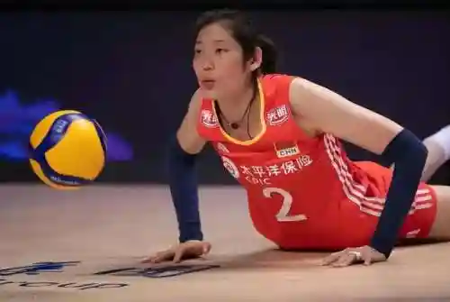 排球小子搭配阵容图高清(排球少年国家队阵容)插图2