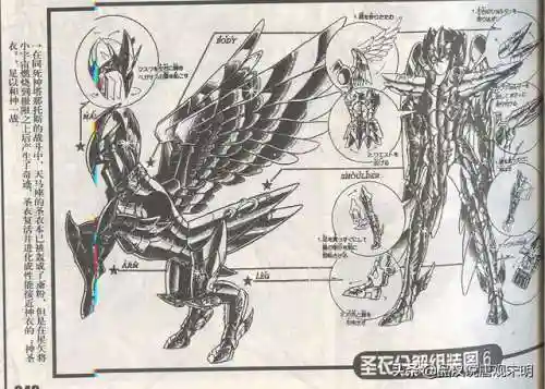 洛克王国华贵天鹅超进化(洛克王国巨翎天鹅亲密度)插图19