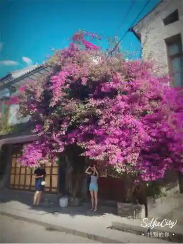 不败精灵最强阵容如何搭配(零命雷神最适合的阵容)插图10