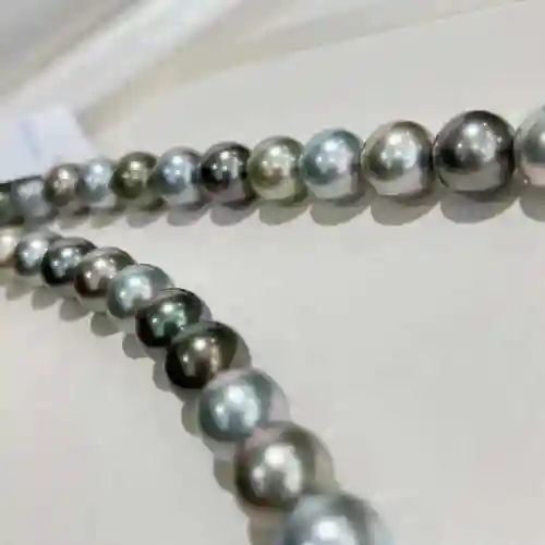 黑蝶皇后怎么搭配阵容(黑蝶是什么)插图3