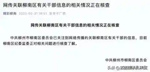 漂亮女局长最新篇(漂亮女局长的推荐理由)插图7