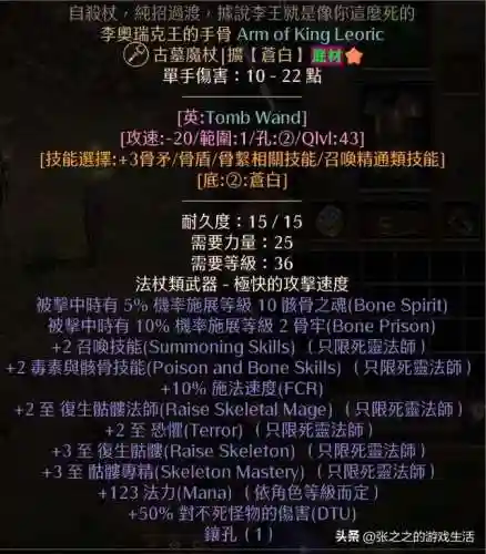 死灵法师练级流派搭配阵容(亡灵法师学什么专业)插图23