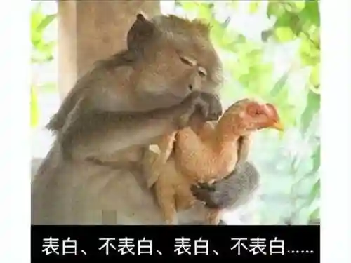 贪玩猫龙之谷发布网(龙迹之城贪玩平台)插图8