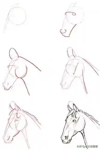 画100个呆萌可爱小动物(画小动物简单又可爱)插图6