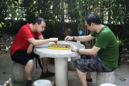 军棋双人套路阵容搭配图(二人军棋必胜摆法图片)插图13 军棋双人套路阵容搭配图(二人军棋必胜摆法图片)插图13