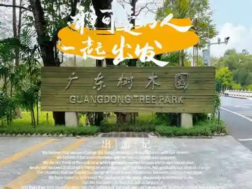 天选森林大树阵容搭配(大树头森林餐厅)插图3