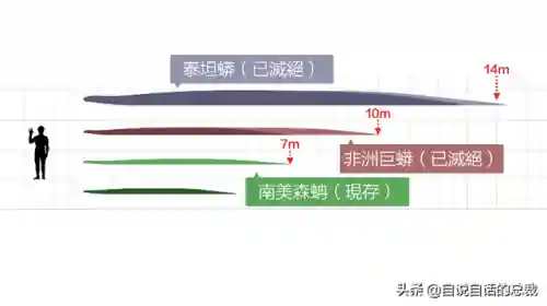 远古巨兽大复活(上古神兽饕餮电影免费)插图43 远古巨兽大复活(上古神兽饕餮电影免费)插图43