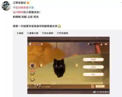 忘川斗技阵容搭配图(最新斗技阵容推荐)插图14