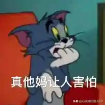 奥拉星最早绝版的亚比(奥拉星以前的亚比不见了)插图3