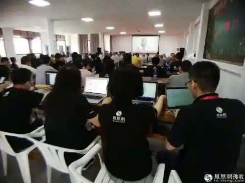 凤鸣麟出的阵容有哪些搭配(麒麟阵容搭配最高输出)插图10