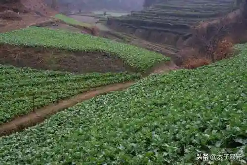 修仙超强小农民(上古修仙)插图2