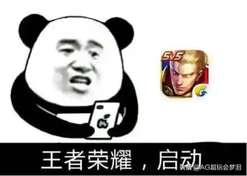 源哥搭配什么阵容最强(闪烁之光最强阵容)