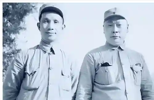 战将合作阵容怎么搭配的(少年名将最强阵容)