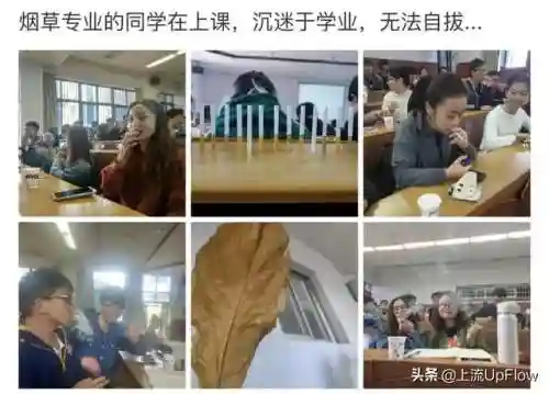 淡雅推塔阵容搭配最新(守塔不能停0氪最强阵容)插图17