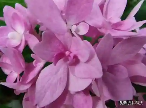 摩托罗拉折叠手机2022新款(摩托罗拉官方网)插图46