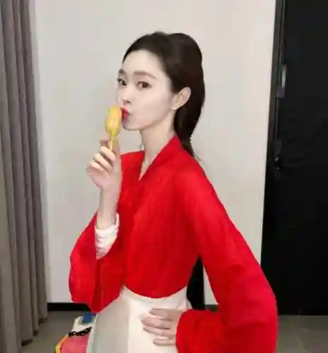 全明星古装阵容搭配推荐(武侠大明星阵容推荐)插图6