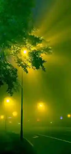 最流行的手机壁纸(干净清爽风景壁纸)插图11