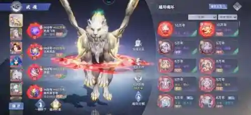 小白和白虎搭配什么阵容(辽小虎主力阵容)