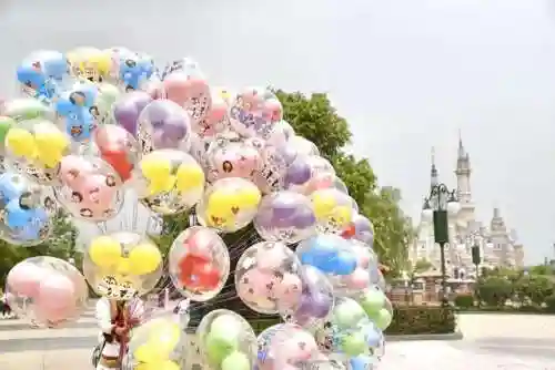 迪士尼乐园图片(上海迪士尼游玩攻略)插图15
