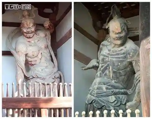 积木修罗王怎么搭配阵容(佐罗冈布奥阵容搭配)插图9