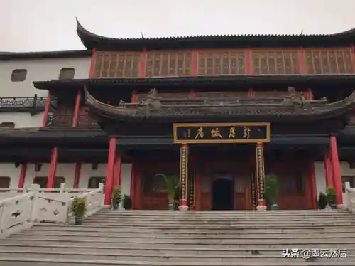 陈皮和谁生的陈文锦(丫头什么时候生的陈文锦)插图3